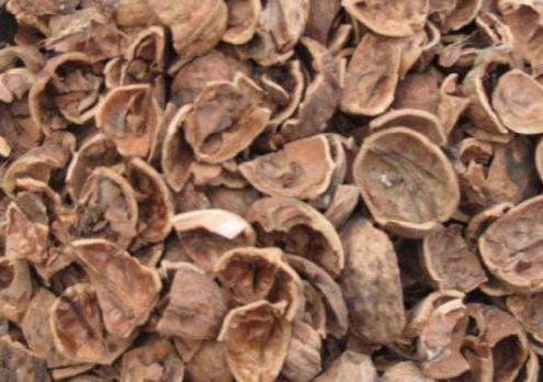 烦恼|核桃壳不要扔了,用水煮一煮,能解决许多人的烦恼,为健康需重视