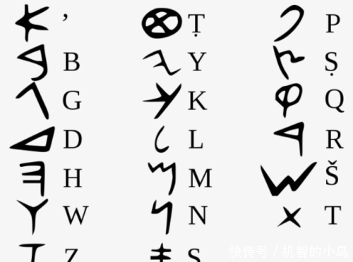 为什么说汉字和其他文字走上了不同的路