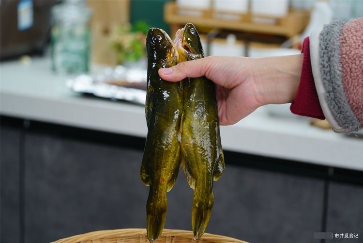  季节|这个季节最该吃的鱼，煲汤鲜过鲫鱼汤，15元一斤，看见别放过