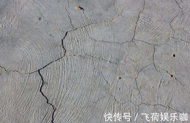 开裂|农村打地坪，水泥里为何放竹子不加钢筋？不烂吗？老师傅说很常见