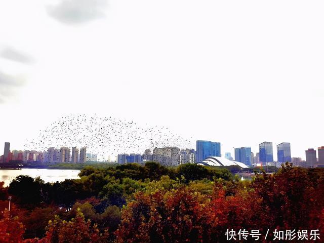 真正厉害的人,都深谙示弱之道,善于以柔克刚