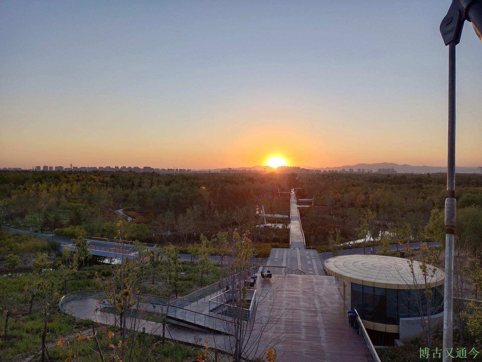 老年|温榆河公园示范区东园,园内的金色光芒撒在大地上