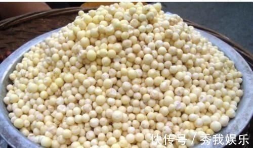 苏芡|三好中药材——芡实,祛湿很好、补肾挺好、性价比高