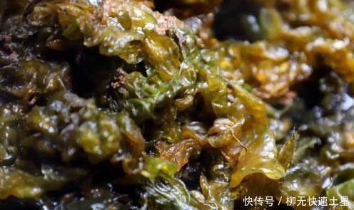 吃法|夏季挖野菜，送你64种野菜图片大全，教你认识不同的野菜和吃法！