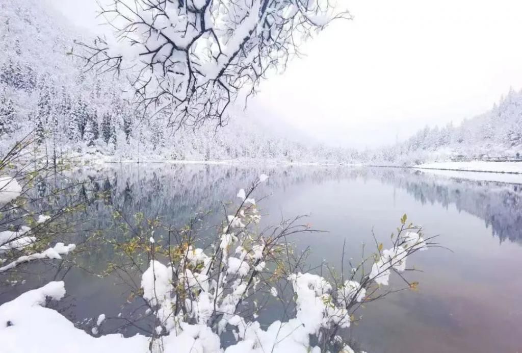 红军|蓝湖黄叶，红日白雪，这是达古之冬的别样魅力