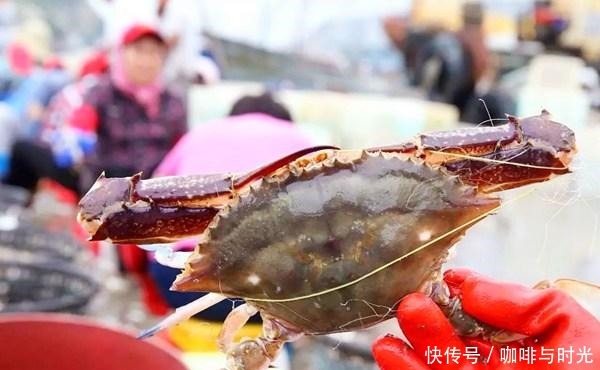 买梭子蟹时,说这“4个字”,老板就知道你是行家,准给你肥蟹