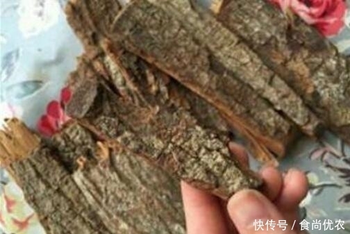 通用|树皮竟有如此神效?男女通用还能壮阳,真是神了
