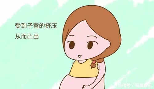 肚皮|怀孕后,孕妈的肚脐眼若始终“凹进去”,说明孕妈很幸运