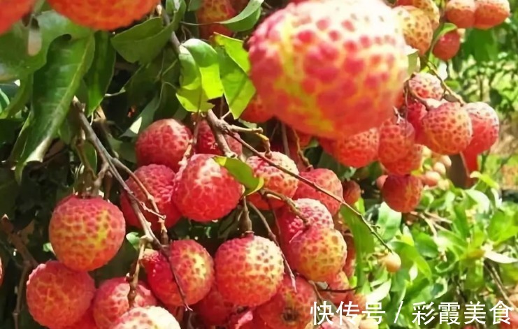 山竹|夏季，这3种碱性水果要多吃，再贵也要吃！营养美味顺利过夏天！