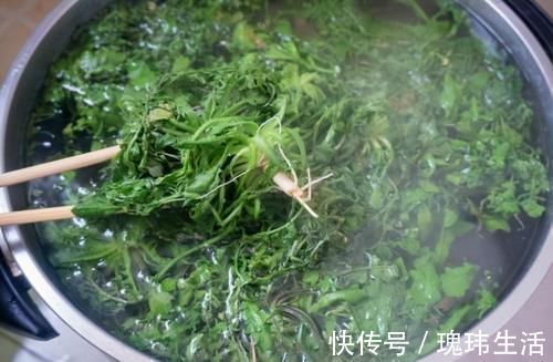 荠菜|乡下这“野菜”5块一斤,谁都爱吃,掏钱从不手软,五六斤嫌少了