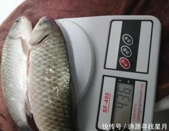 钓鱼三大策略,懂技术的人都在遵循,钓鱼新手必备!