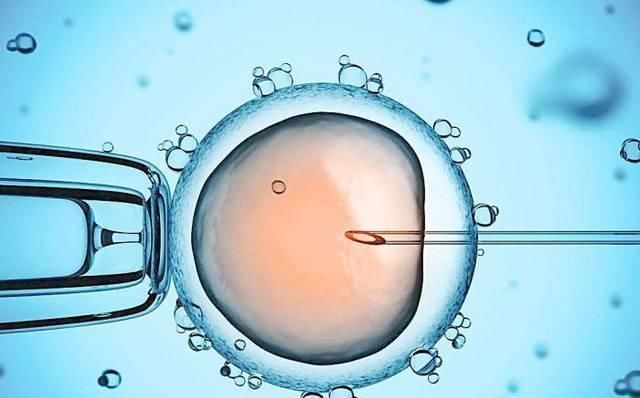 试管婴儿和正常人的最大区别,不是寿命的长短,而是这一点