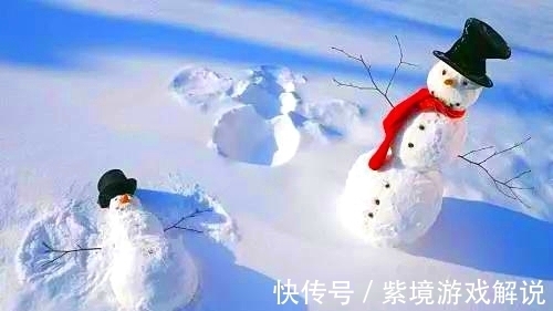 梅映雪$梅花欢喜漫天雪，飞舞冬至遐思长