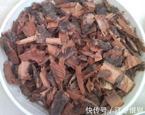 路边有“2种宝贝”,捡回来养花,往花盆里埋,花卉窜出大白根!