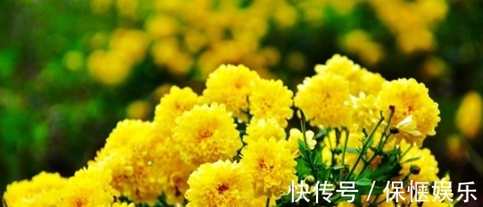 红笺#红叶黄花秋意晚,女主人公因悲秋而怀远,书信难寄玉泪滴落红笺淡