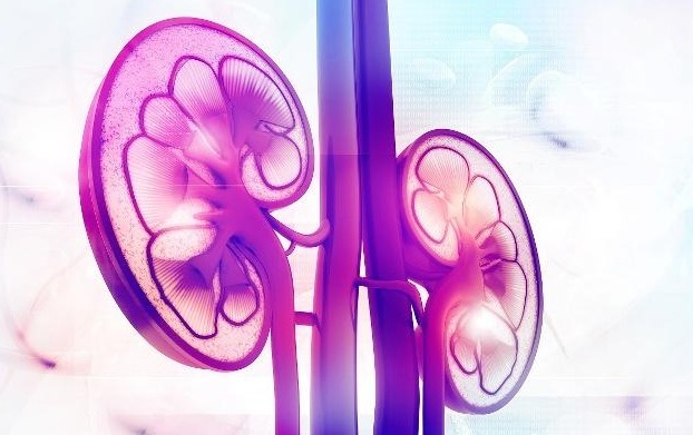 男人|男人想要肾好，晨起后别错过3件事，肾功能可能会“强大”起来