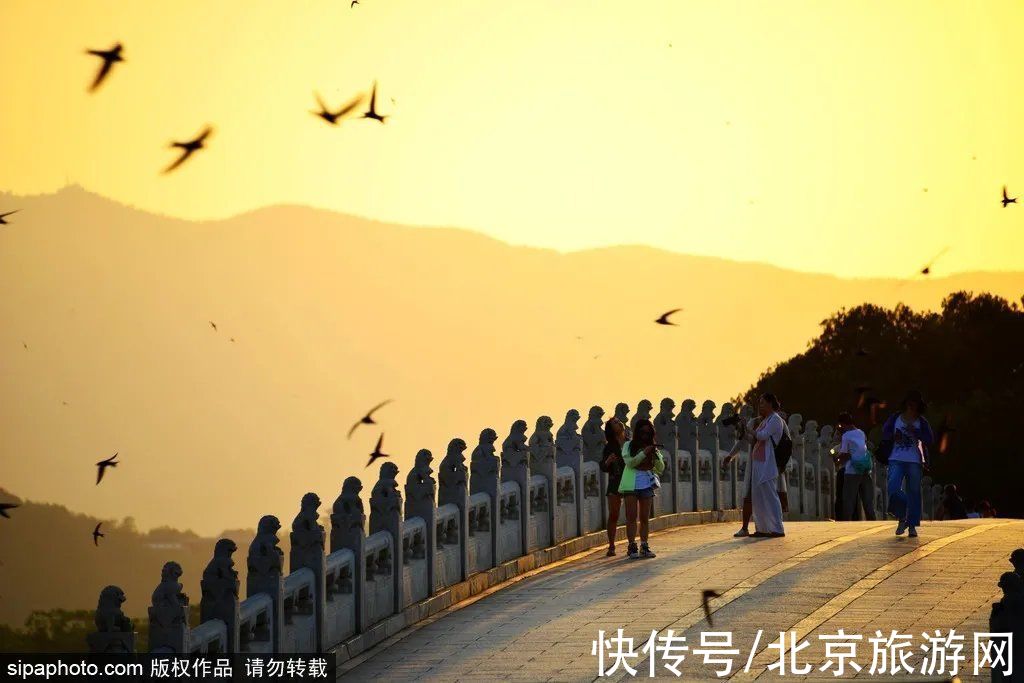 新首钢|绝美！站在桥上看风景，北京的秋天美得似油画~