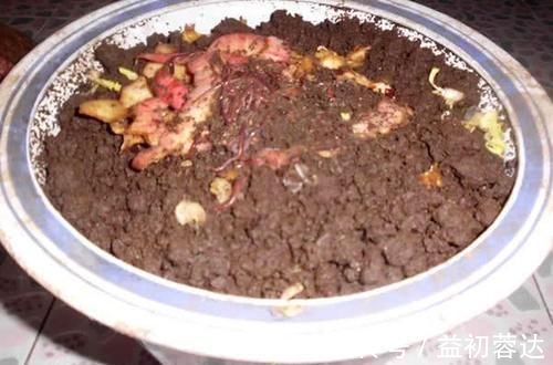 钩体|蚯蚓钓鱼使用小技巧,让钓鱼爱好者少走弯路