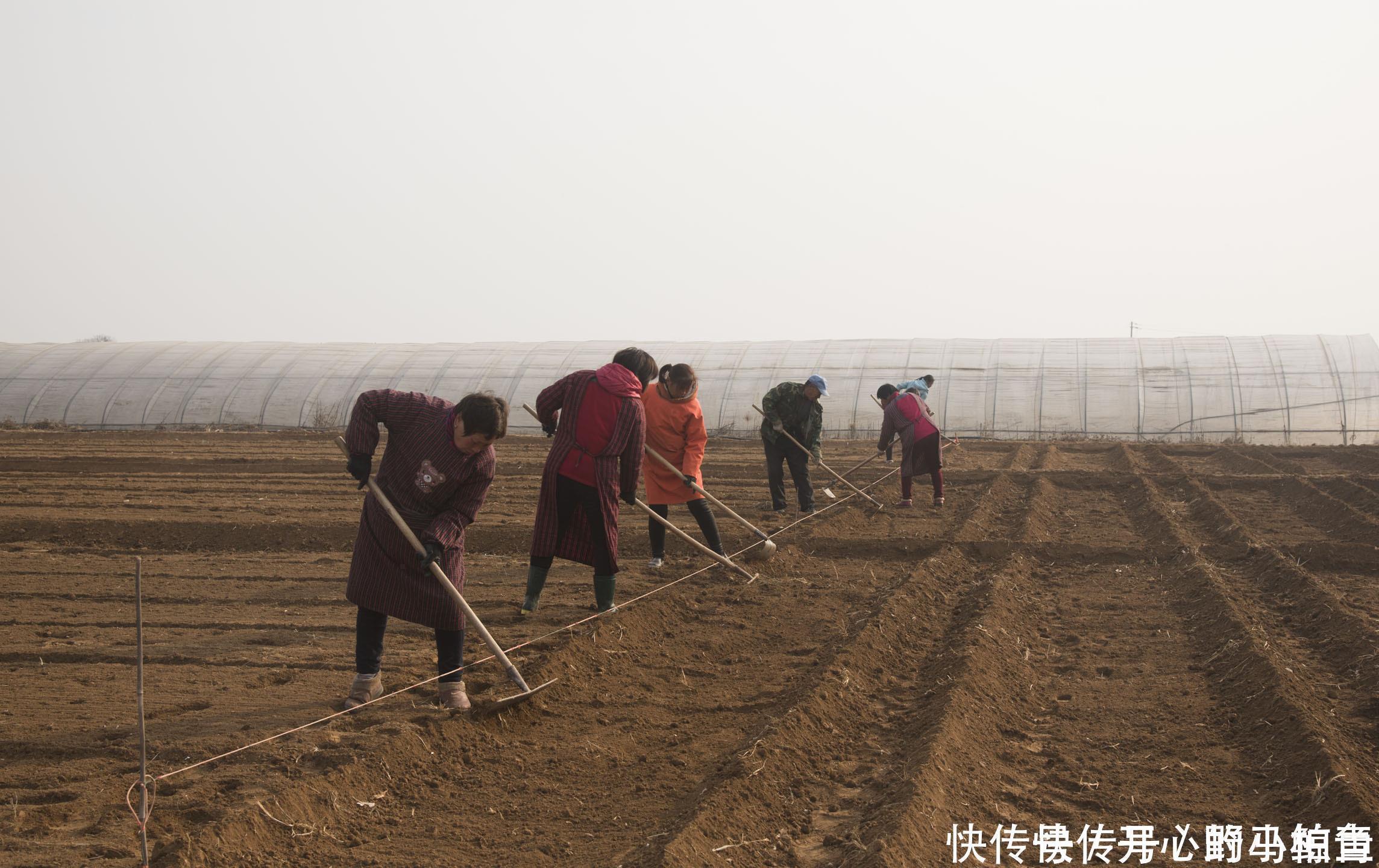 一亩地是多少平方米,很多老农民都不清楚,