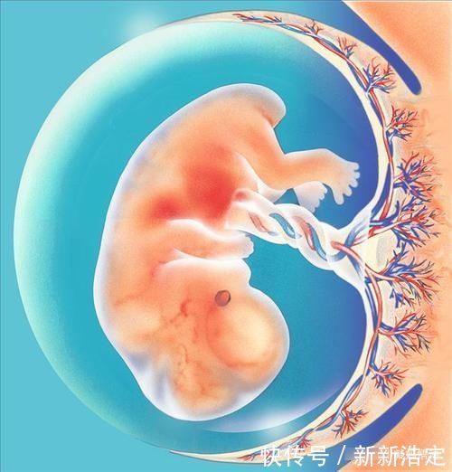 缺钙|胎儿进入身高猛涨期,孕妈身体有4种感觉,忽视娃少长10公分