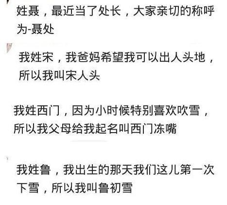 |一个名字可以带来哪些笑话？网友：没错，我就是叶凉晨！