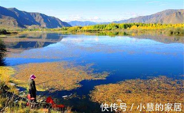 秋分|秋天钓鲫鱼，以秋分为分界线，难度越来越小，要点就是“灵活”