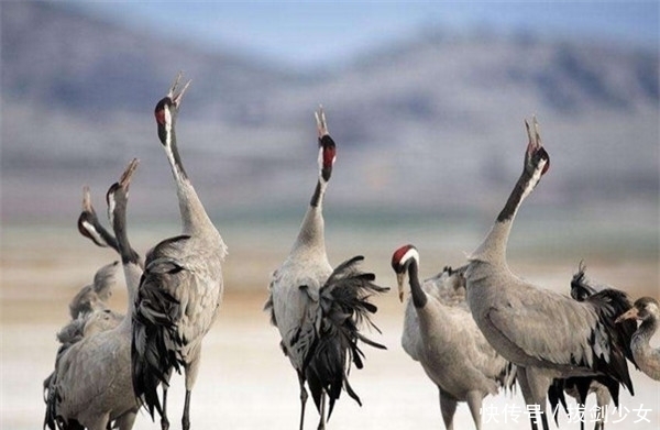 才干|盘点那些猝不及防的爆笑瞬间,坐地铁也疯狂,笑s我了
