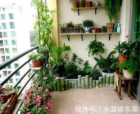 夏天养花“技巧”多，天热就需要换位置，黄叶烂根救不活