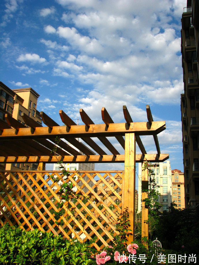 阳台上|为建花园,不顾反对买了一楼带院子,3年的亲手布置朋友都羡慕了