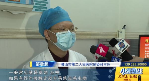 恙虫病|撸猫后，广东一女子呼吸衰竭至今仍住ICU！