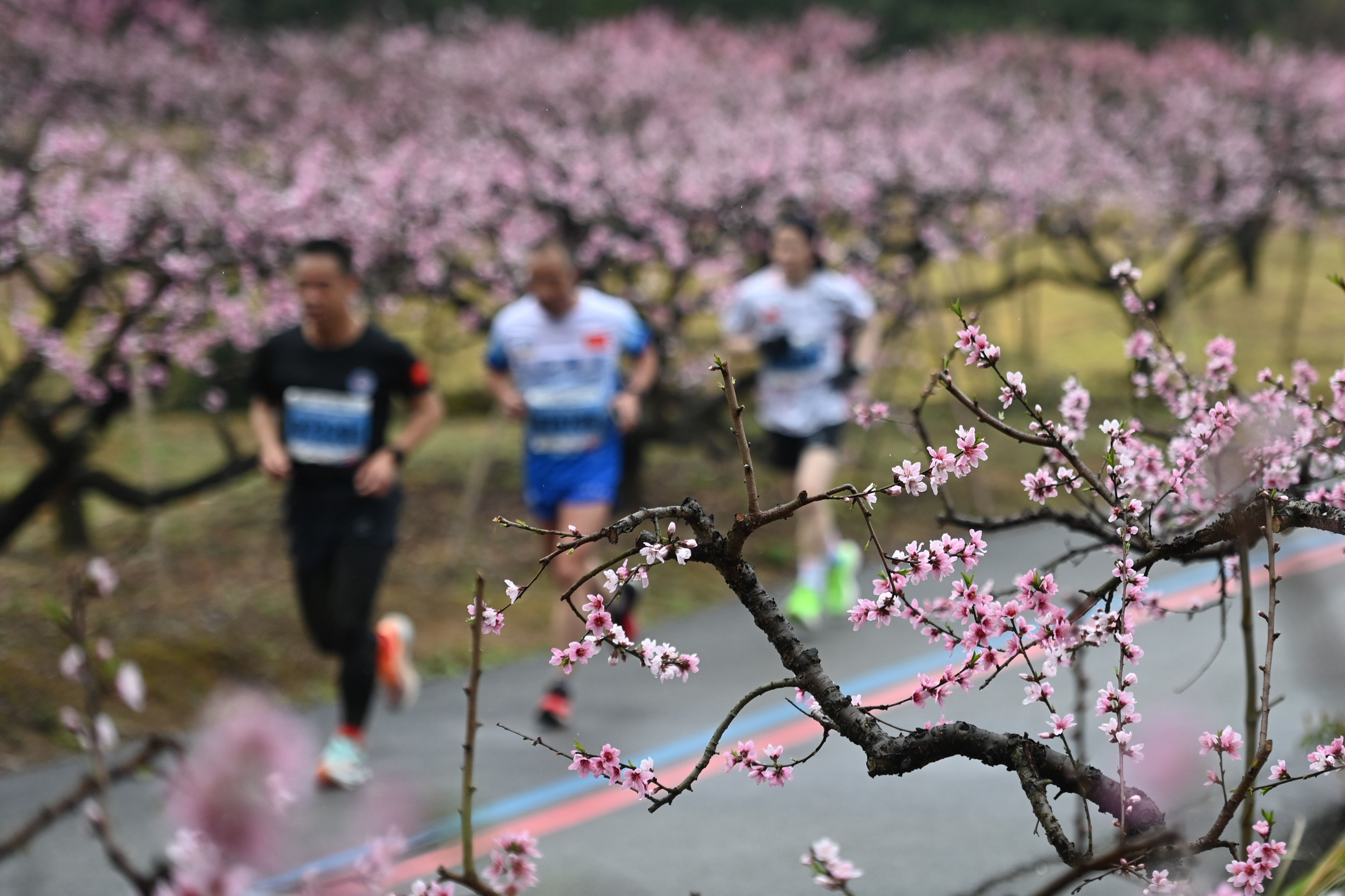 田径——2023奉化海峡两岸桃花马拉松赛在浙江宁波举行