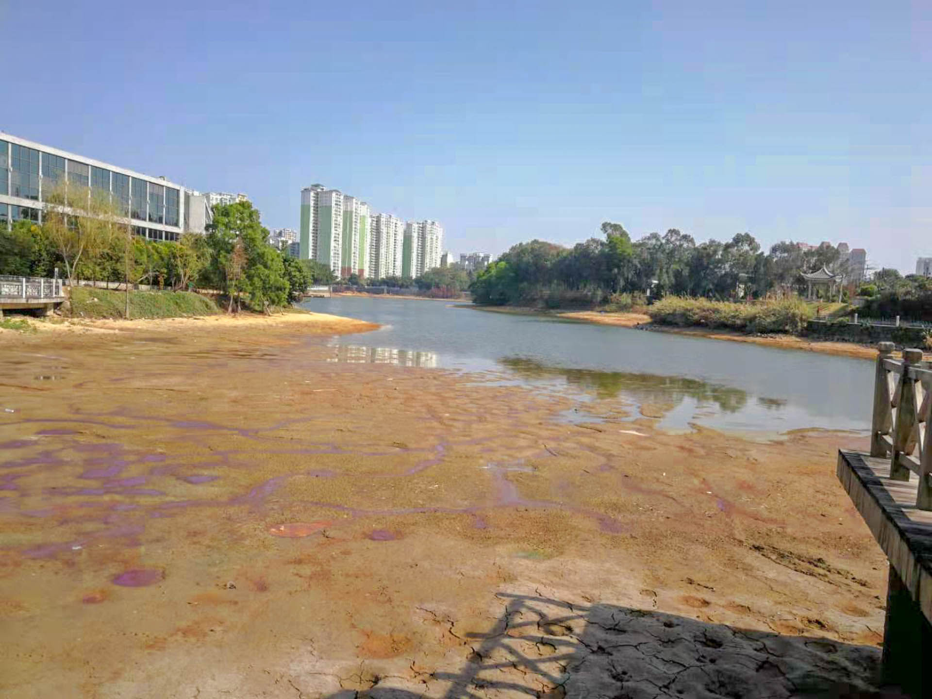 老年|温暖的旅行 自驾第十一季 休闲阳江市区 打卡名扬湖畔