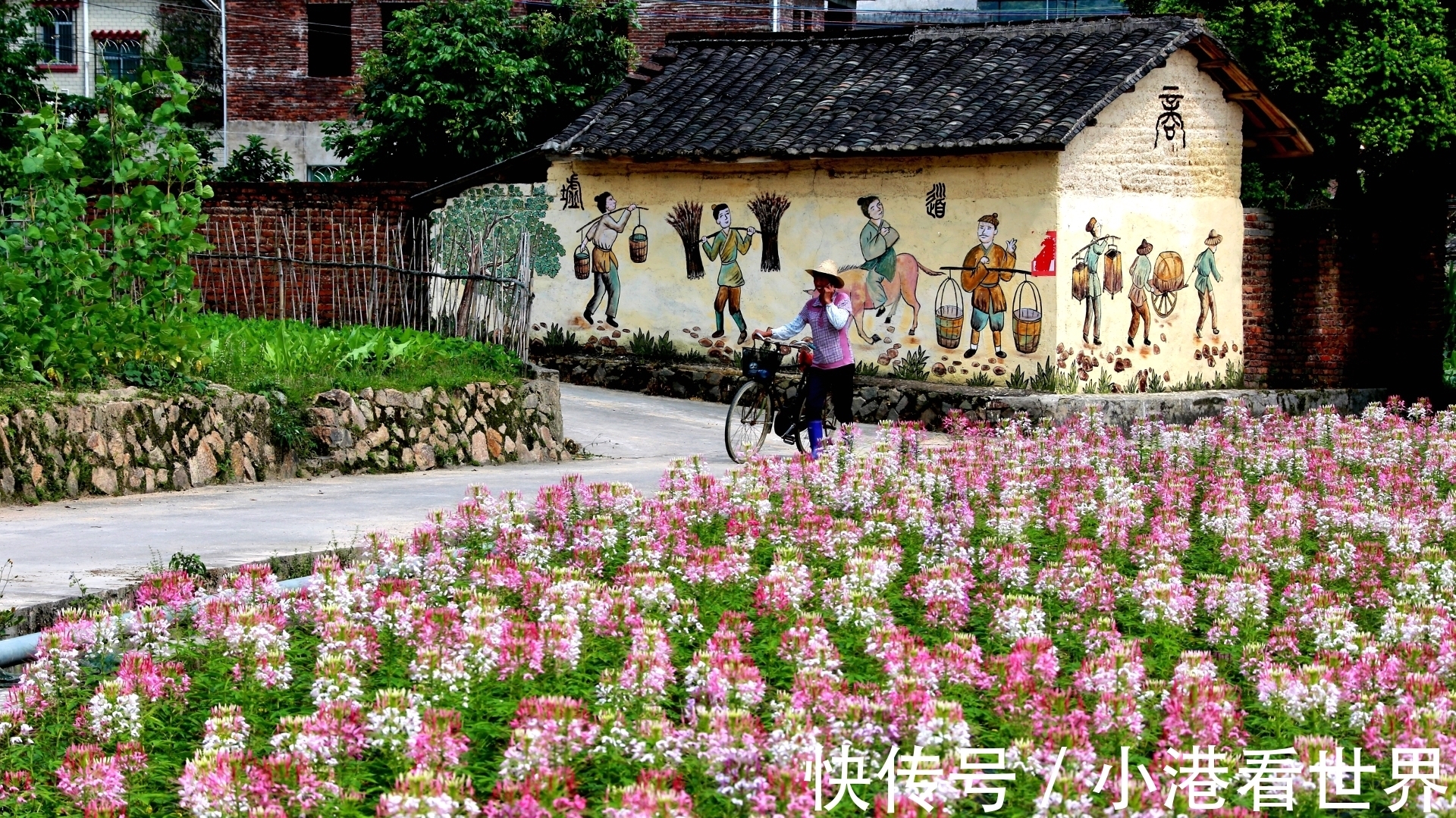 历史|河南一处800多年历史的古村落，依河而建，山环水抱，还免费参观