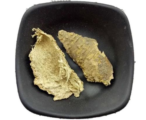  治病|中医大家岳美中：不论大方、小方，只要能治病的，都是好方！