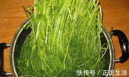 燕窝粥|月经量少的女人,不妨每天吃点它,能帮你滋养卵巢,调理月经!