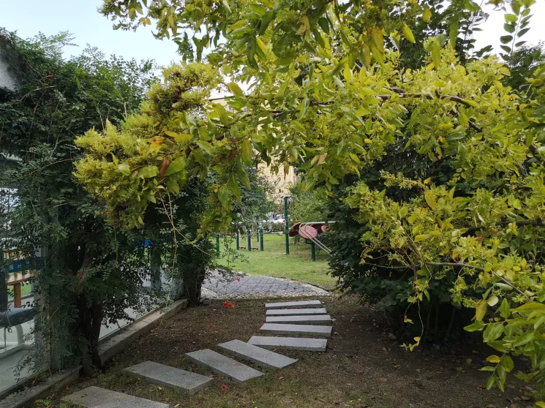 老年|连二医老年医学科收到患者吴继强家属送来的锦旗