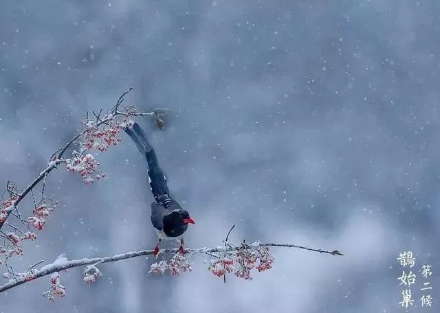 降温@今日小寒，广州今明降温，来这里可“赏雪”