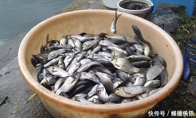 钓具|钓到鱼的好办法并非全靠钓具，而是靠“套路”