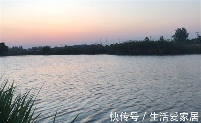 浅水|三伏天钓鱼,不是钓早上就是钓晚上,是钓早上好?还是晚上更好?