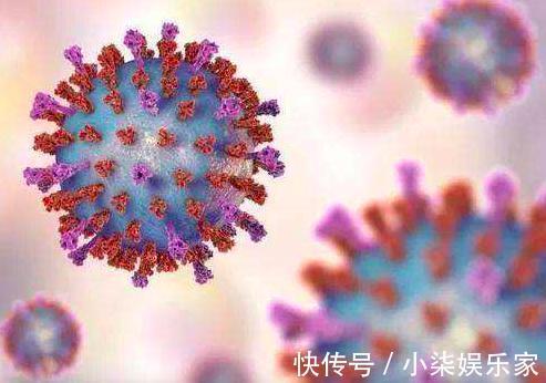 病毒|新型冠状病毒来自艾滋病毒人为改造这消息到底真实不真实