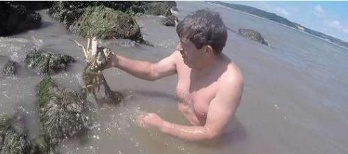 岩石|男子去海边，听到岩石旁有异响，去看以后赚大了！