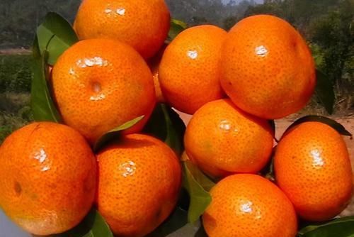 老太|女性不愿老太快，不妨常吃3种食物，美容养颜、淡化皱纹！