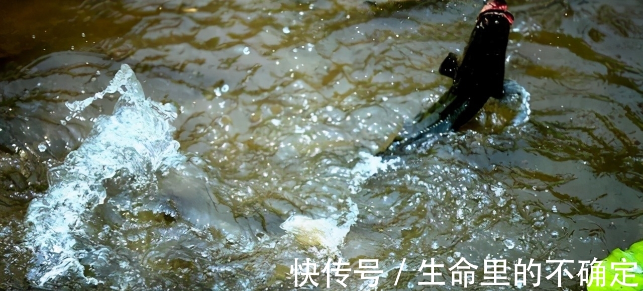 没有经验,不会线组搭配,没关系,这样配线组,大鱼小鱼都合适