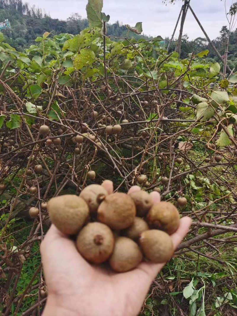 点点|碧云天黄花地，西风紧，点点离愁