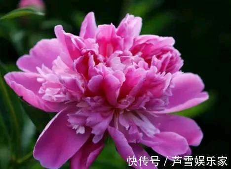 脚踏地&人若恶毒,众叛亲离;人若善良,价值不菲