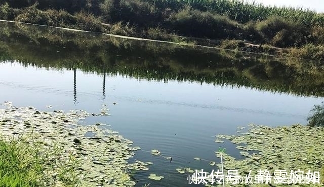 新手钓友牢记钓鱼7忌，虽然不能助你多钓鱼，但也能不让你放炮