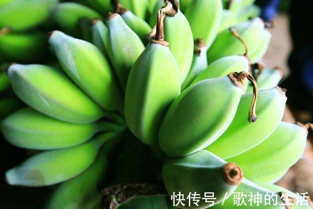 肠道|肠道“推粪机”上线,并不是香蕉,隔三差五吃点,缓解老便秘