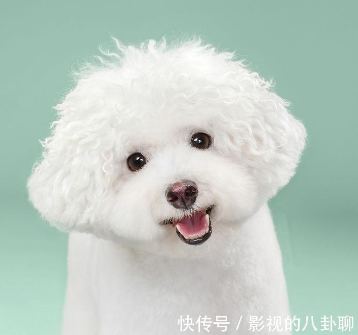 |搞笑段子:但凡有条腿压着也不至于晨跑