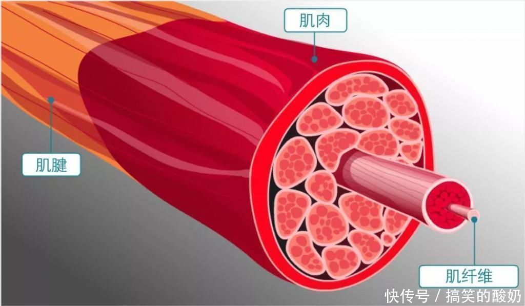 耐力|你做力量训练了吗不用堆跑量，还能提升耐力