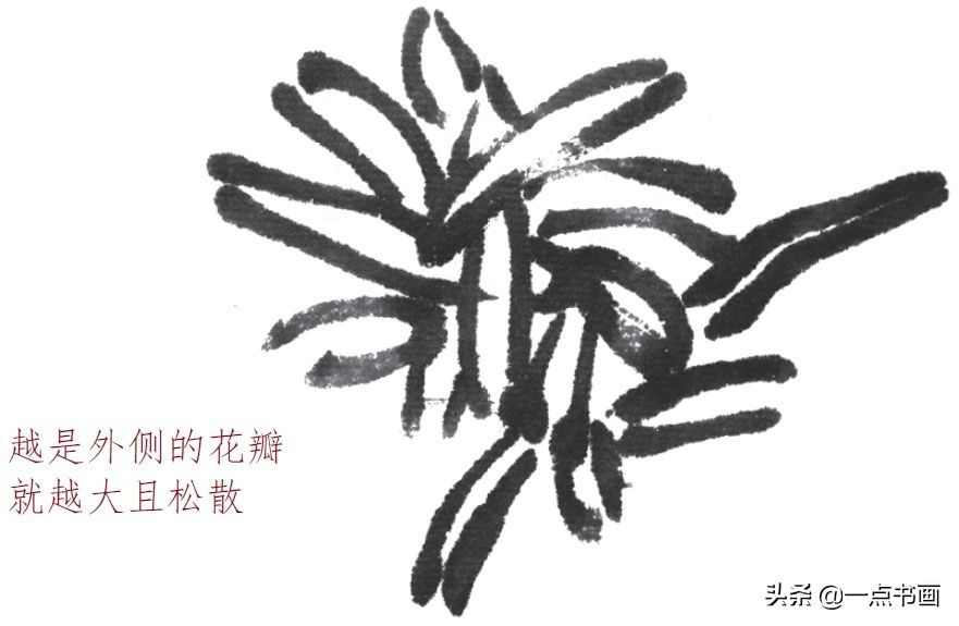 花蕊$从花头到叶子，学画一幅完整的写意菊花